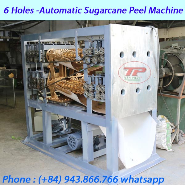 6 Holes -Automatic Sugarcane Peel Machine