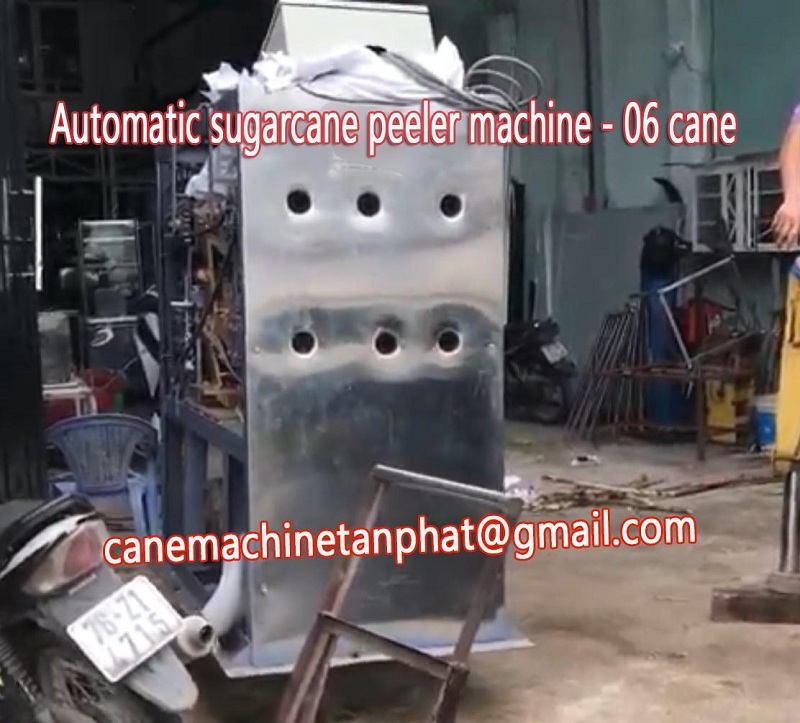 automatic sugarcane peeler machine