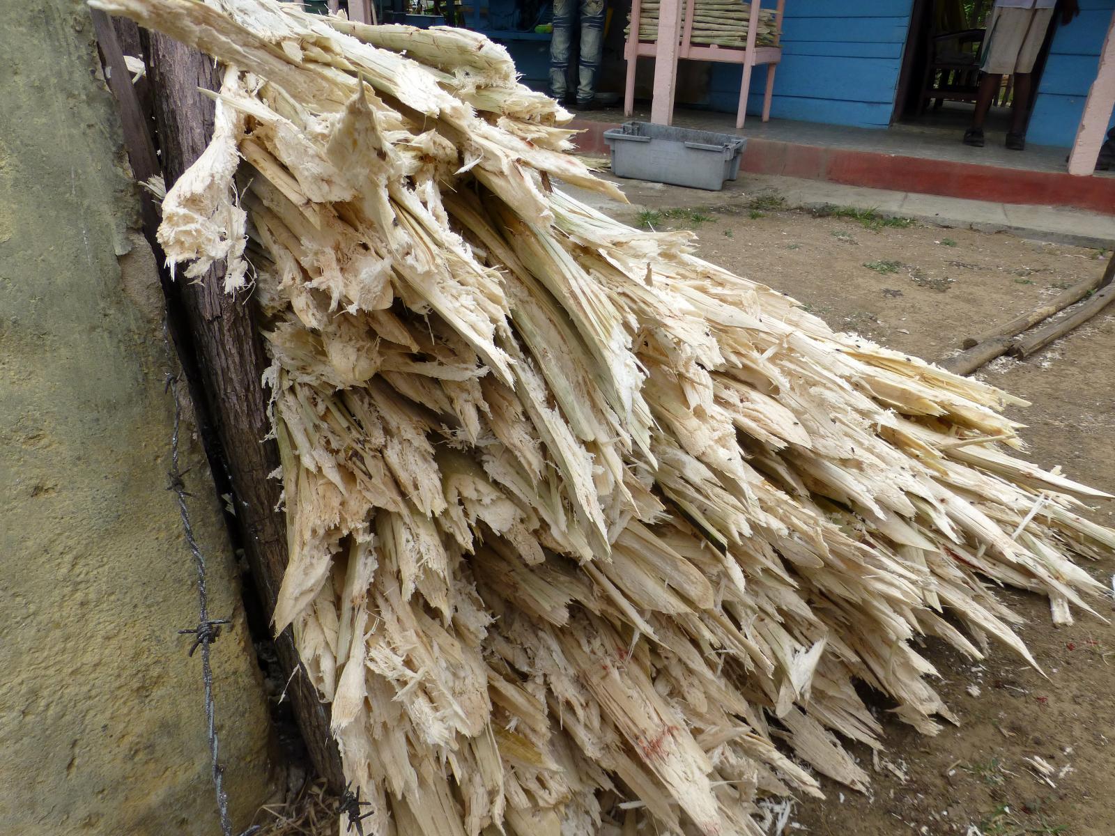 sugarcane_bagasse_cuba.jpg