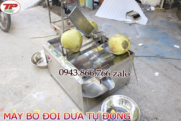 BO-ĐOI-DUA-TU-ĐONG-600.jpg