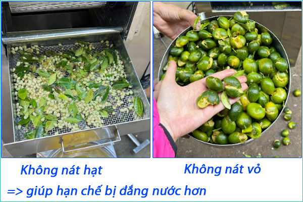 khong-nat-hat-khong-nat-vo-.jpg