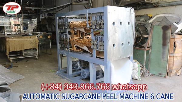 AUTOMATIC-SUGARCANE-PEEL-MACHINE-600.jpg