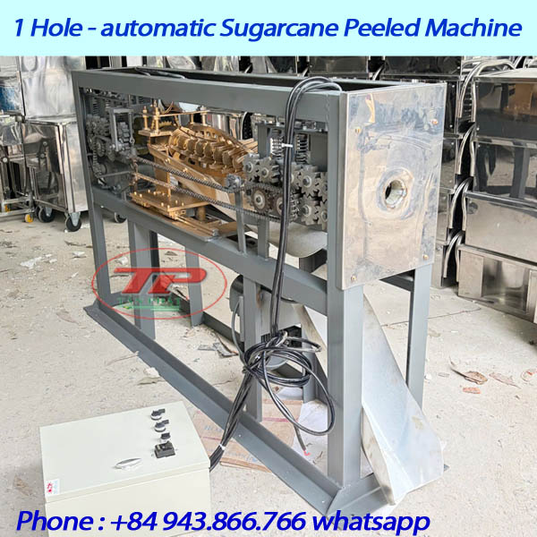1-holes-suagrcane-peel-(1).jpg