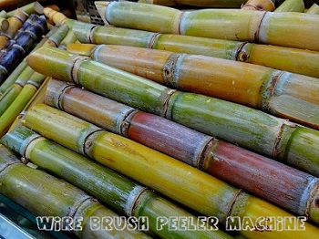sugar-cane-276242_640-(1).jpg