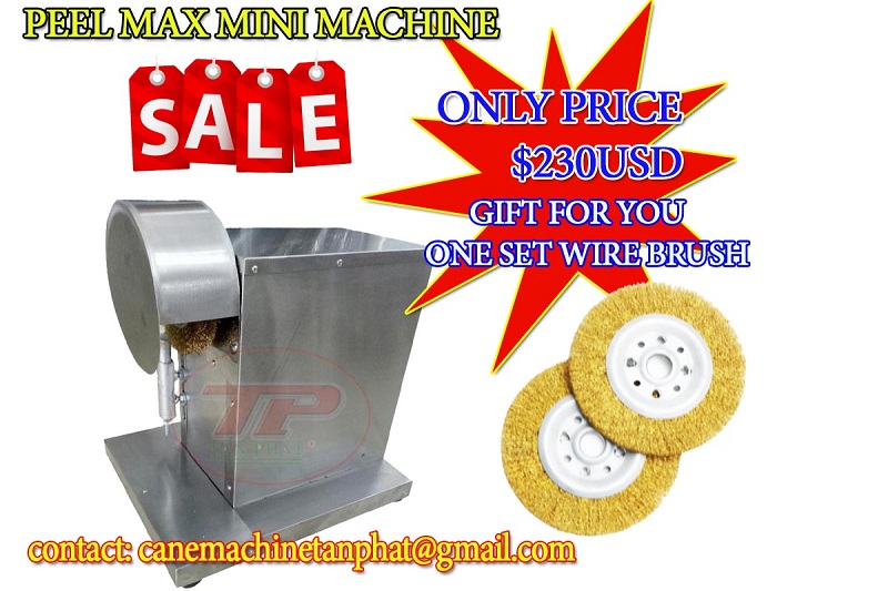 PEEL-MAX-SALE-800.jpg